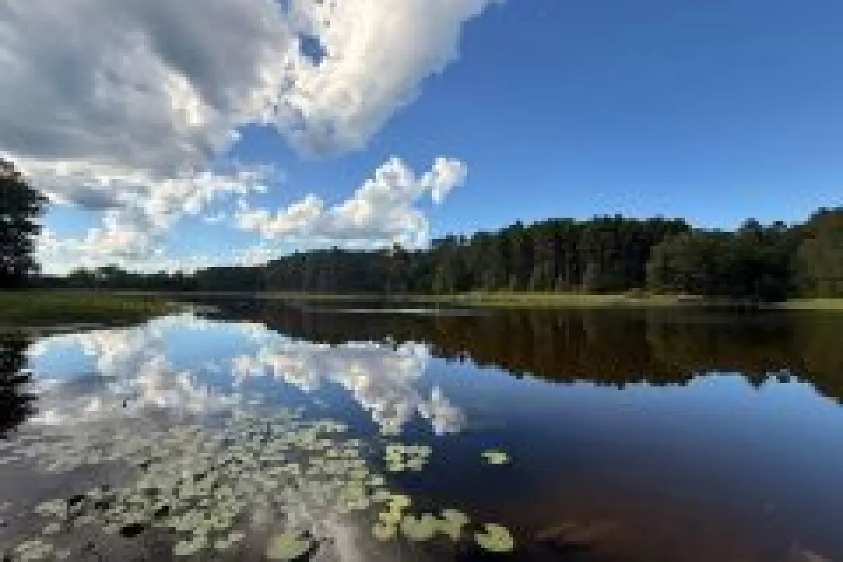 Fishing at Whispering Pines