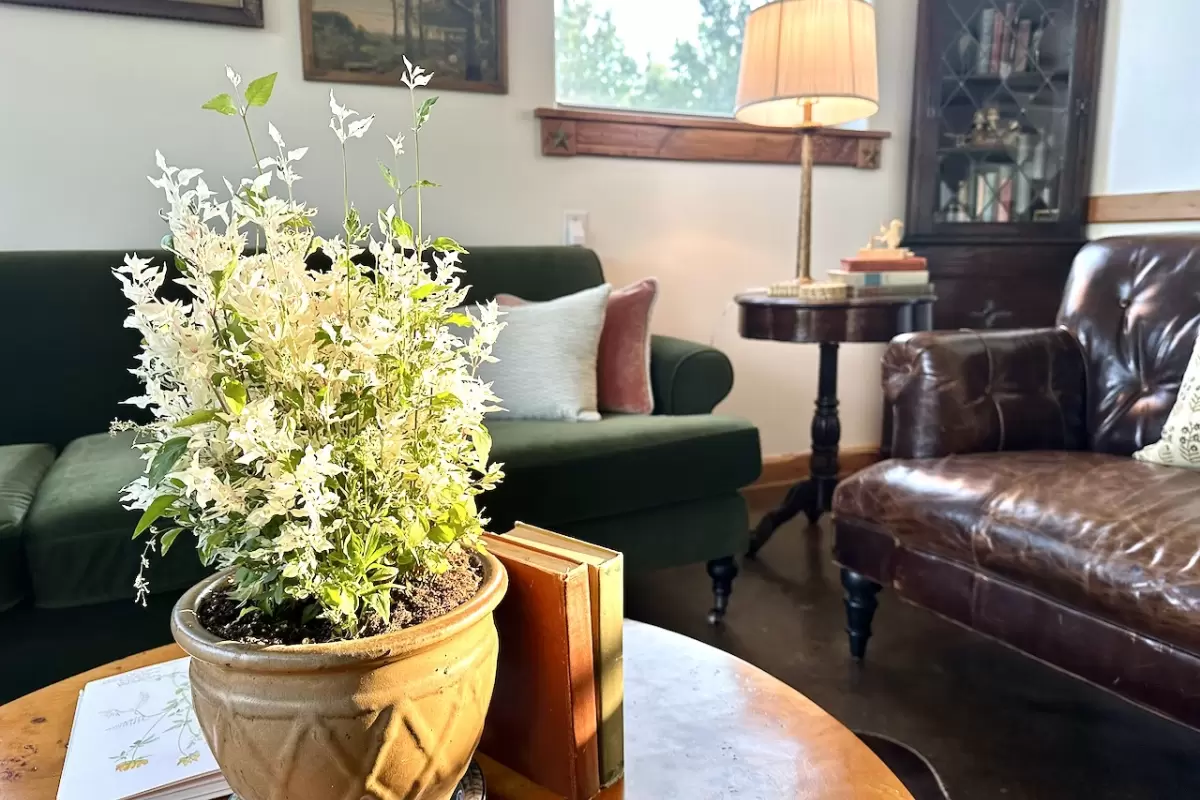 The Cabin