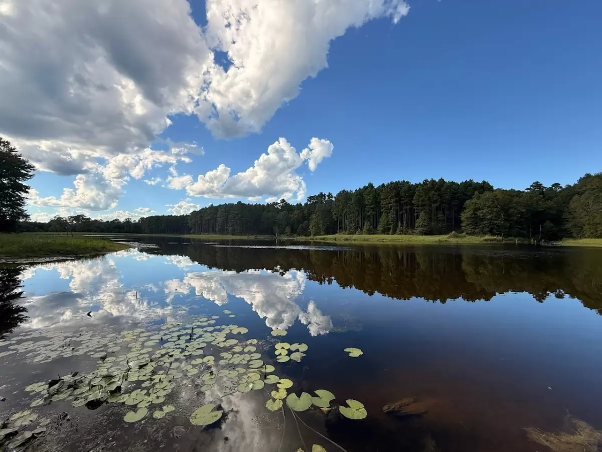 Fishing Cabin East Texas — Private Bass Lake on 300 Acres