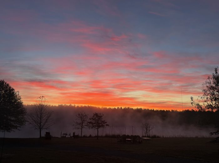 C5029527 25 DF 4505 93 B2 09 D352377848