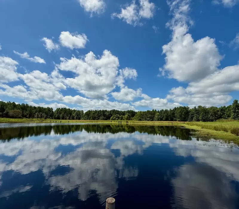 7.6 acre stocked pond