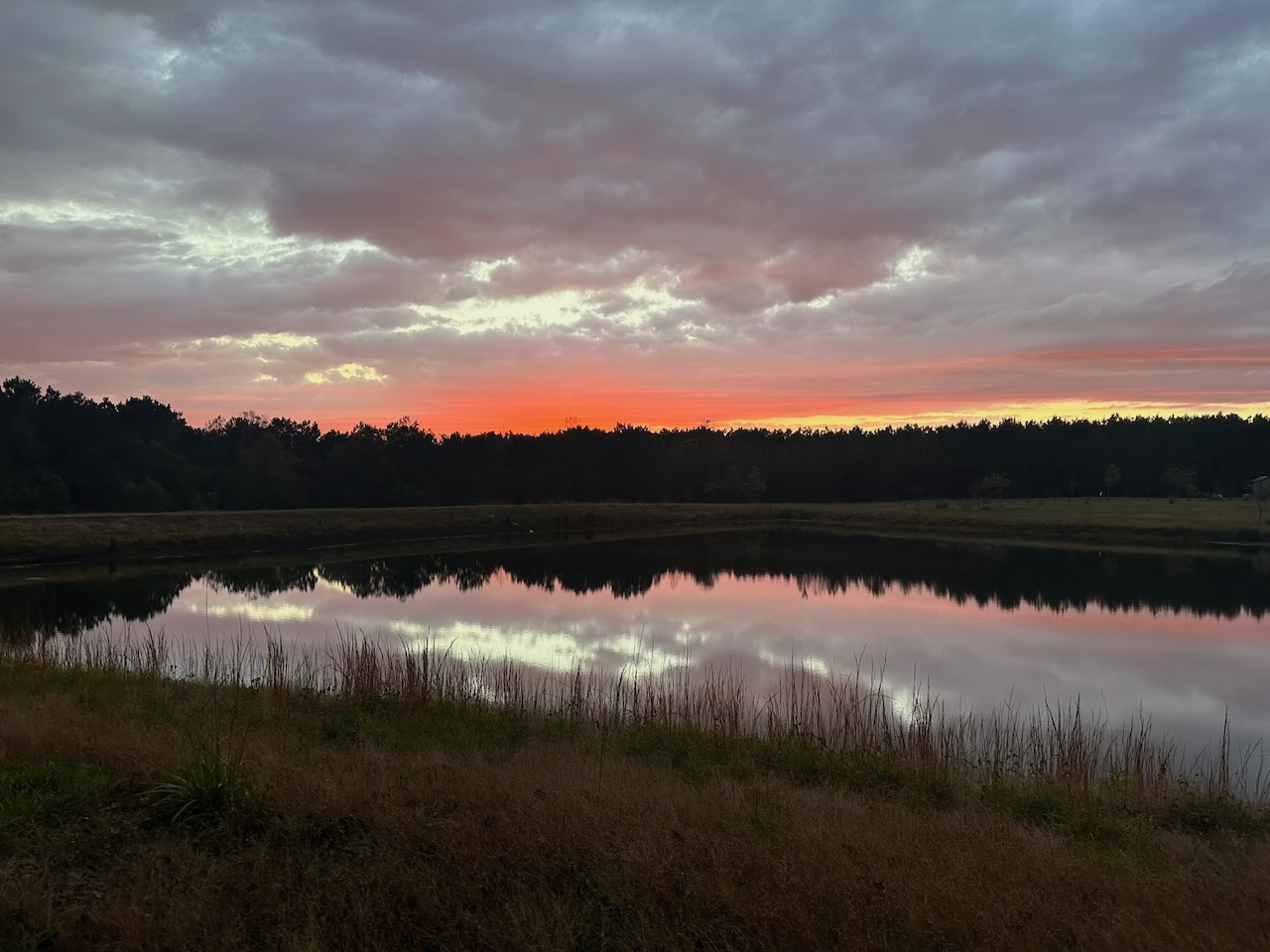 Page Hero Background Image